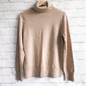 J Crew turtleneck GUC, large